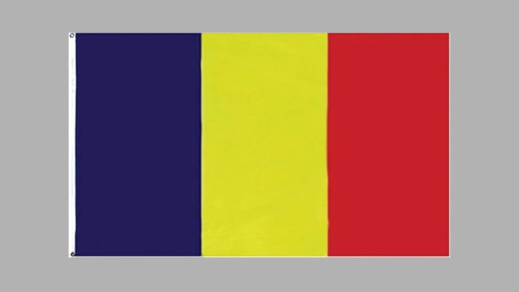 Website design in Chad