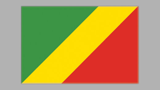 Website design in Congo