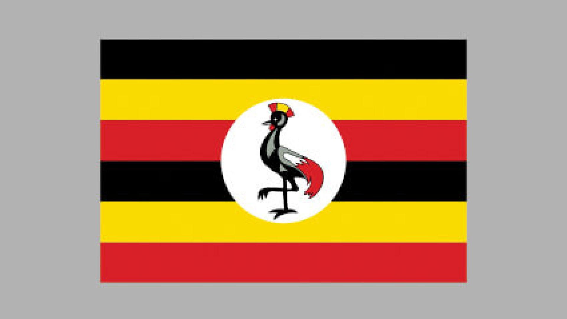Website design in Uganda Kampala